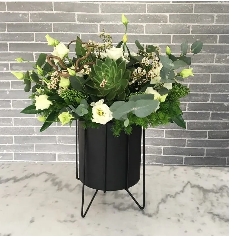 Cactus rose vase