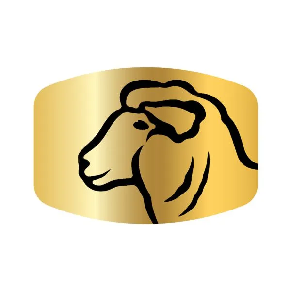 Dutch Gouda Sheep Cheese 