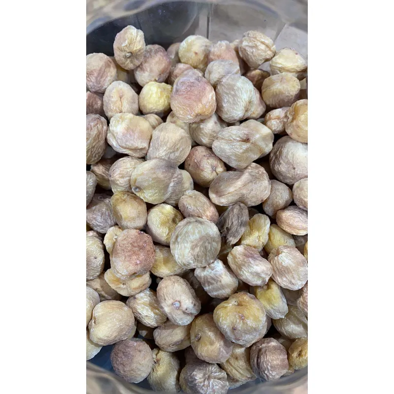 مشمش تركي مجفف
