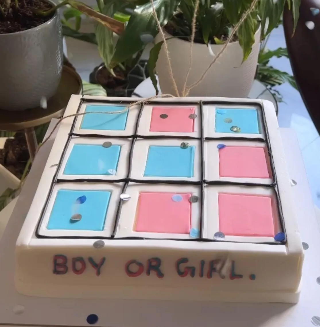 Gender Reveal