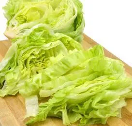 Fresh Lettuce Slices
