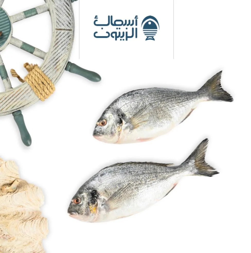 دنيس  نص كيلو