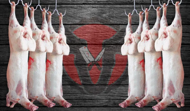 Georgian Lamb (16 to 17 KG ) approximately