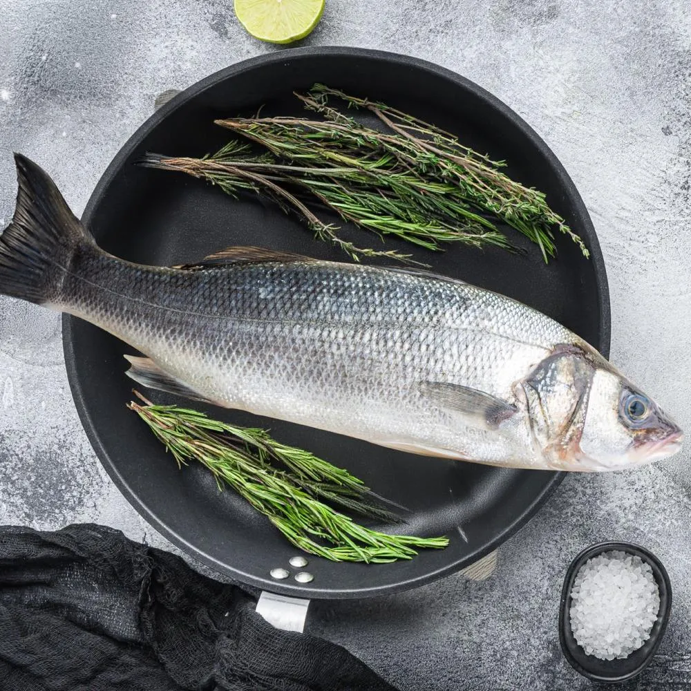 kilo seabass