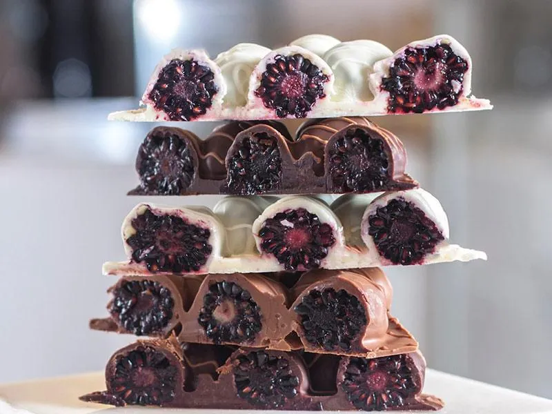 Blackberry Chocolate Bar