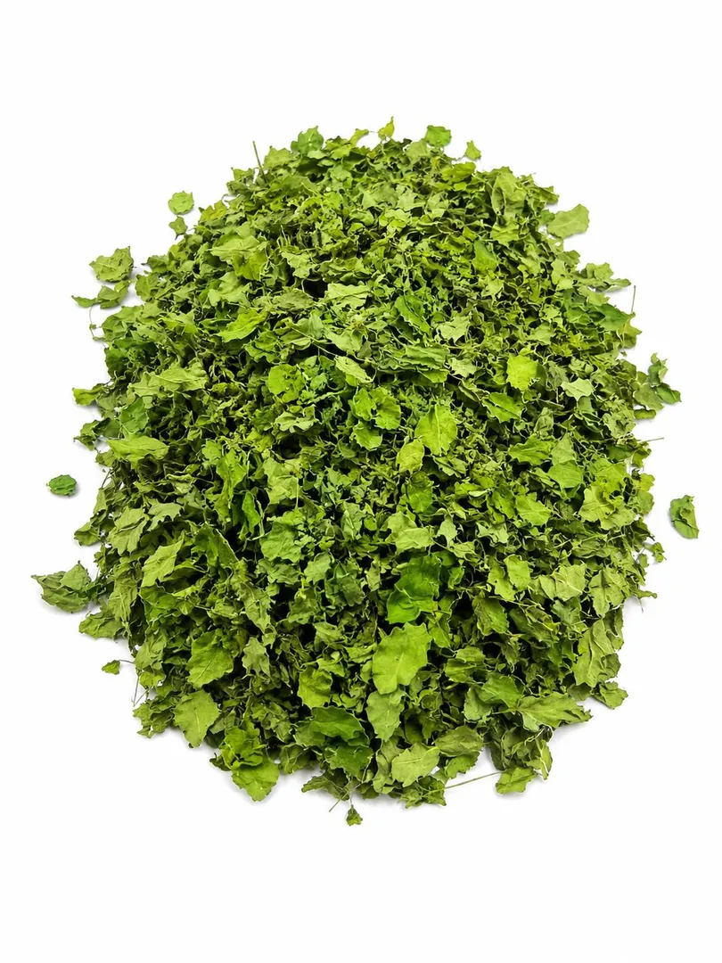 مورينجا