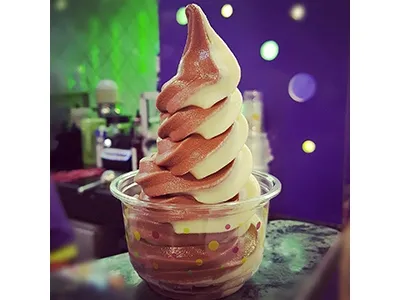 Kdd Chocolate And Vanilla Ice Cream 