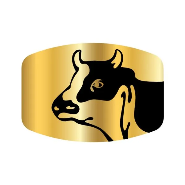 Dutch Cow Gouda Cheese  
