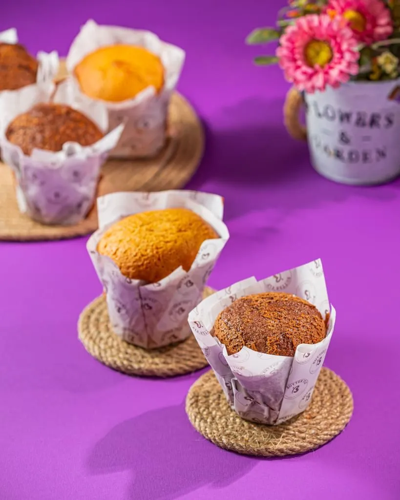 Chocolate Muffin
