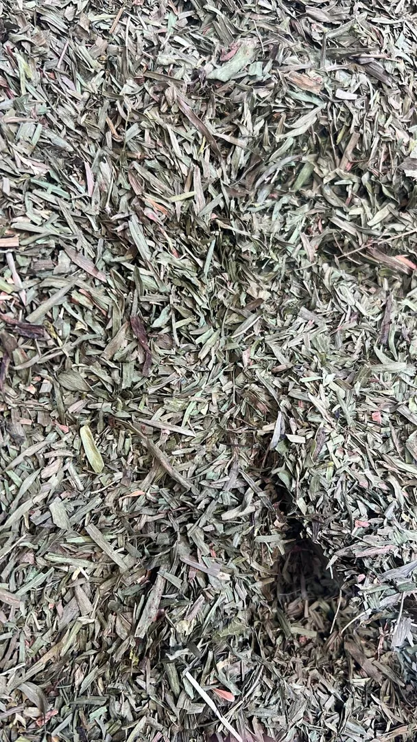 No: 1062 طرخون /Tarragon