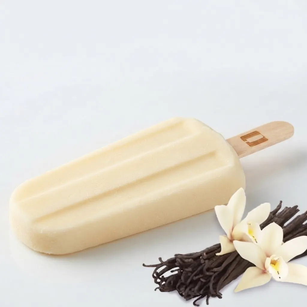 Regular Icecream :Vanilla