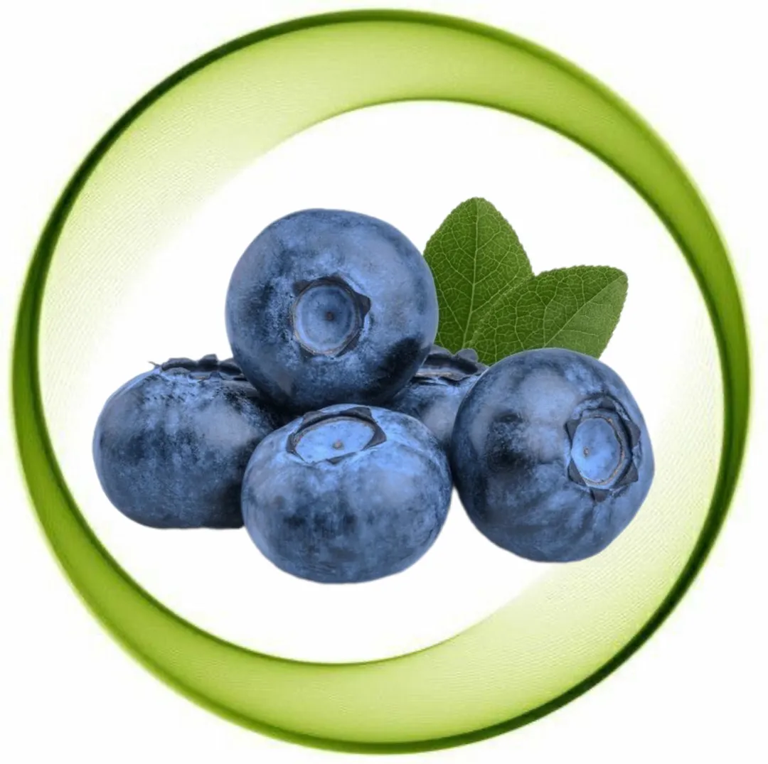 BlueBerry box