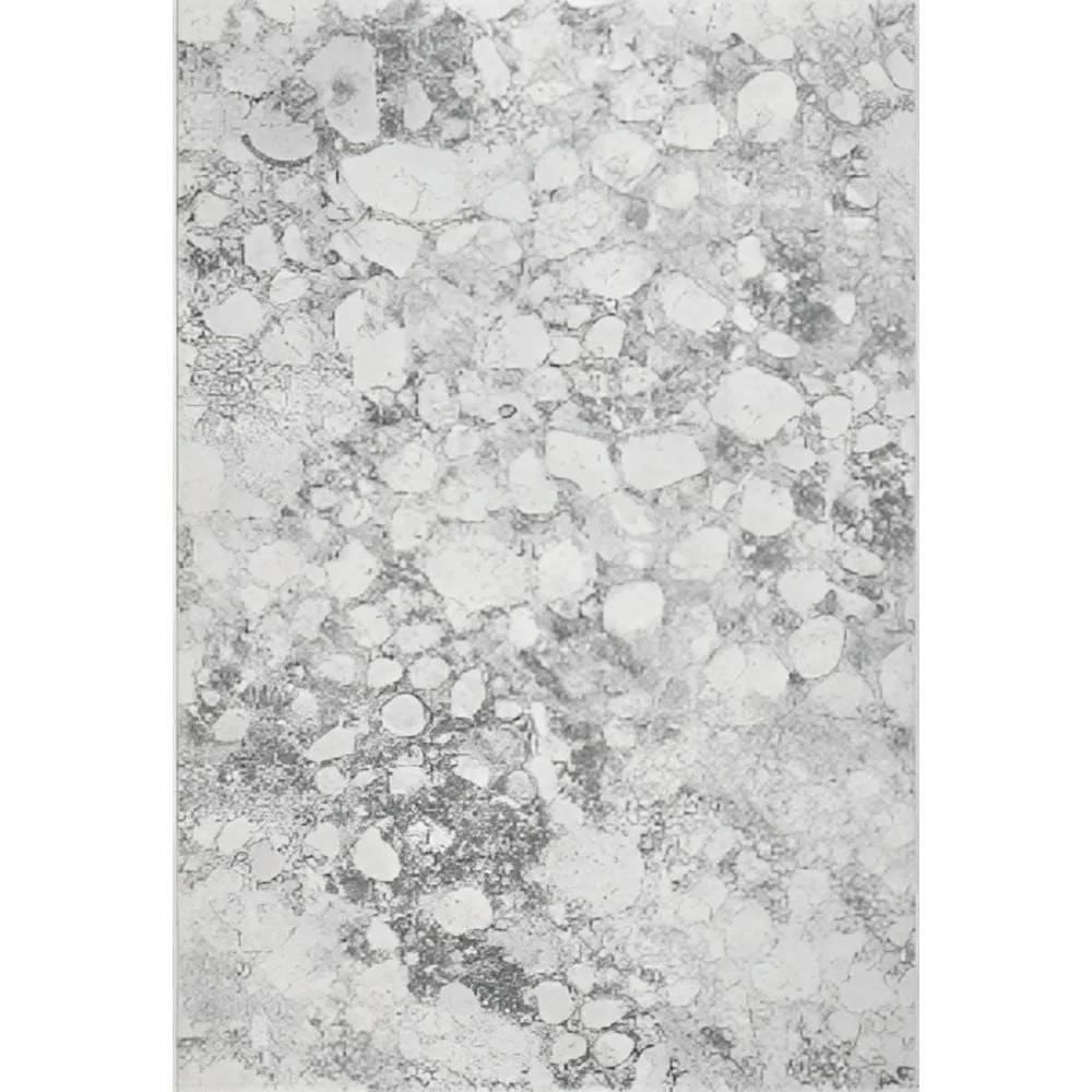 20 Argentum Rug Carpet
