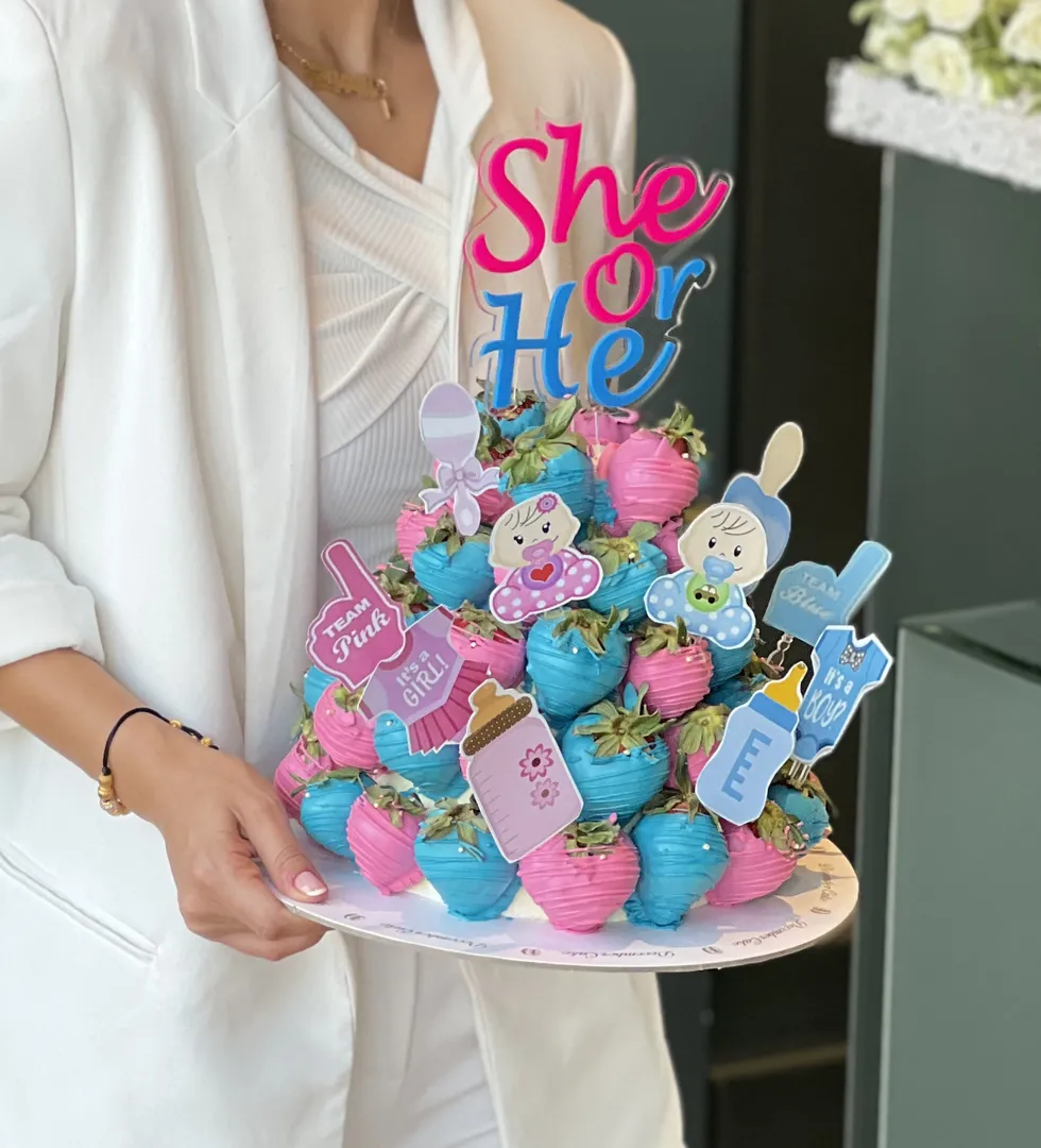 تور الفراوله she or he