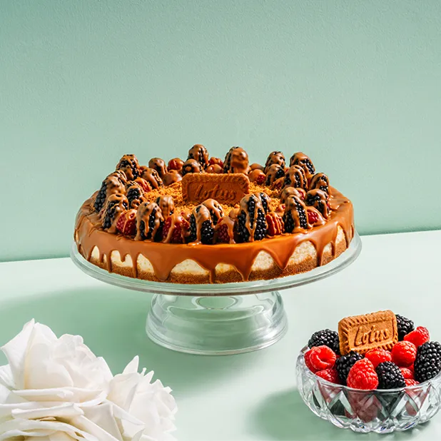 Lotus Cheesecake