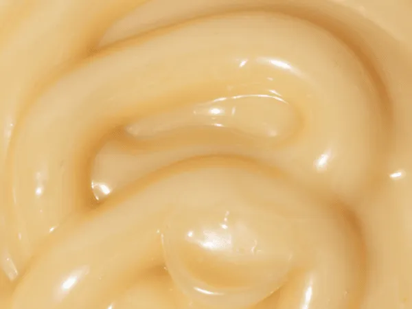 Mayonnaise Sauce