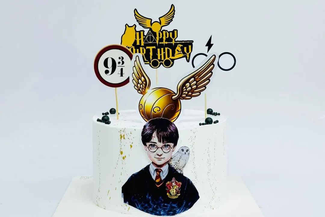 Harry Potter Cake 2
