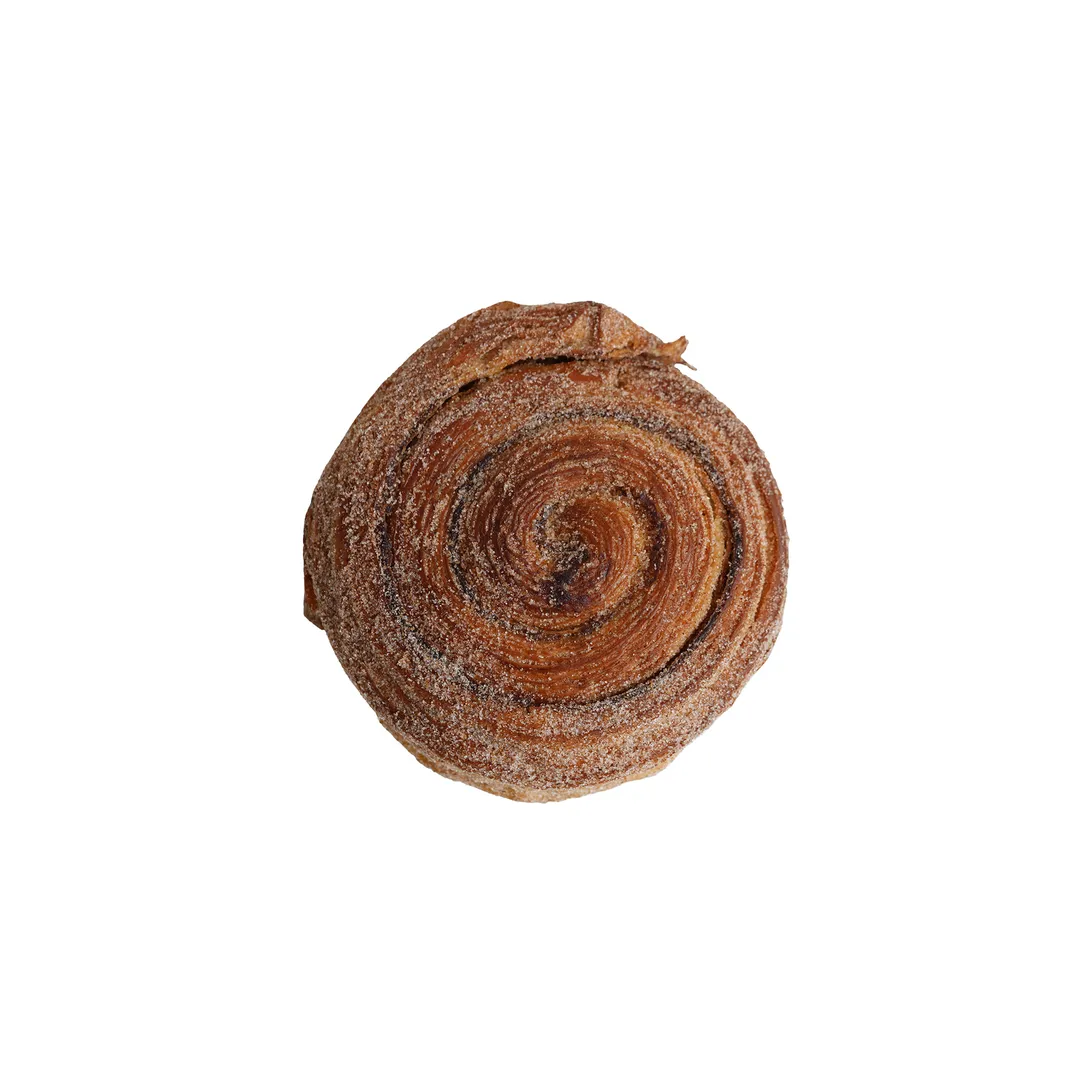 رول الدارسين