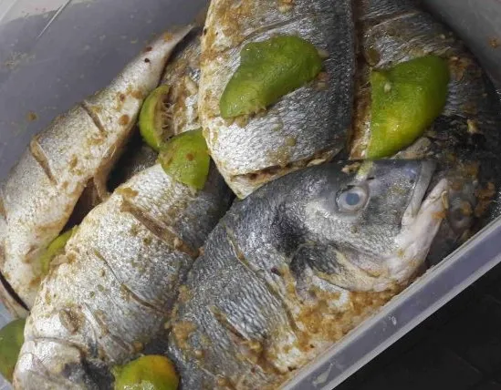 وجبة دنيس مشوي