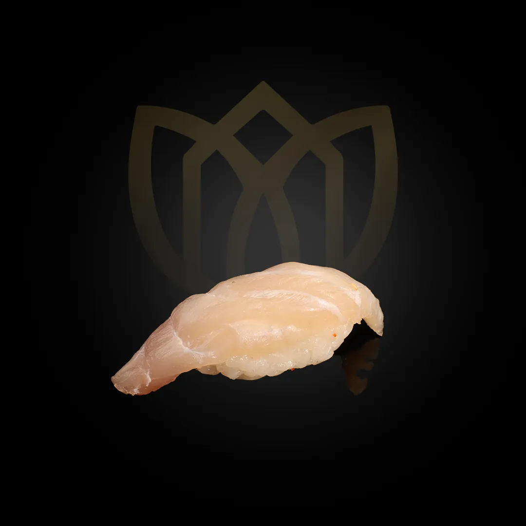 NIGIRI SEABASS
