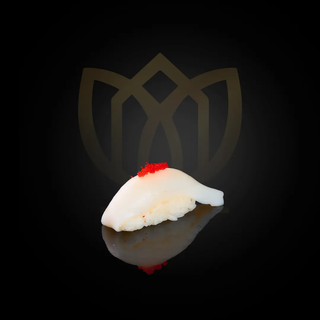 NIGIRI SQUID