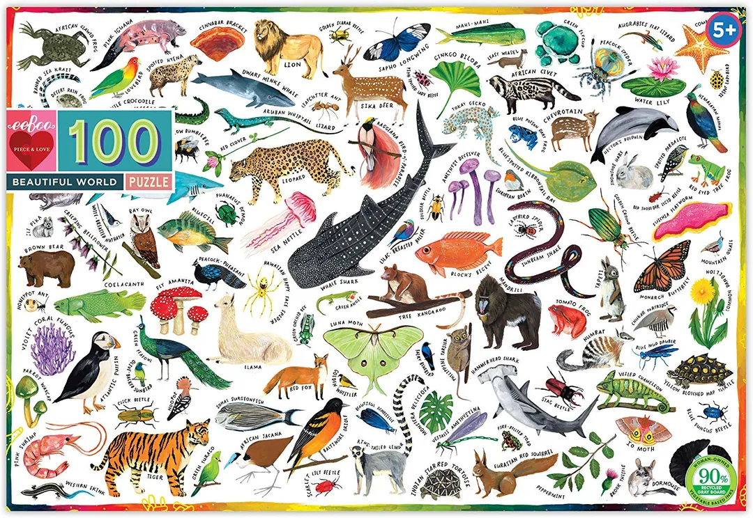 Beautiful World 100pc Puzzle