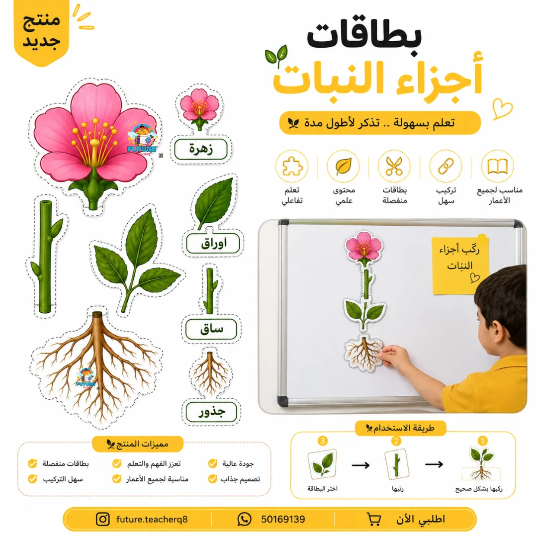 بطاقات اجزاء النبات والمسميات