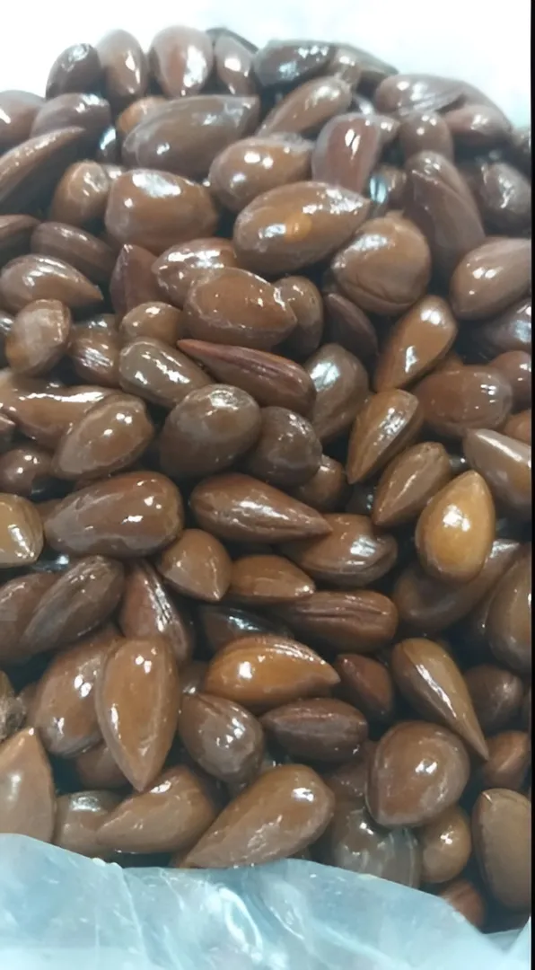 نجِل ٥٠٠ جم