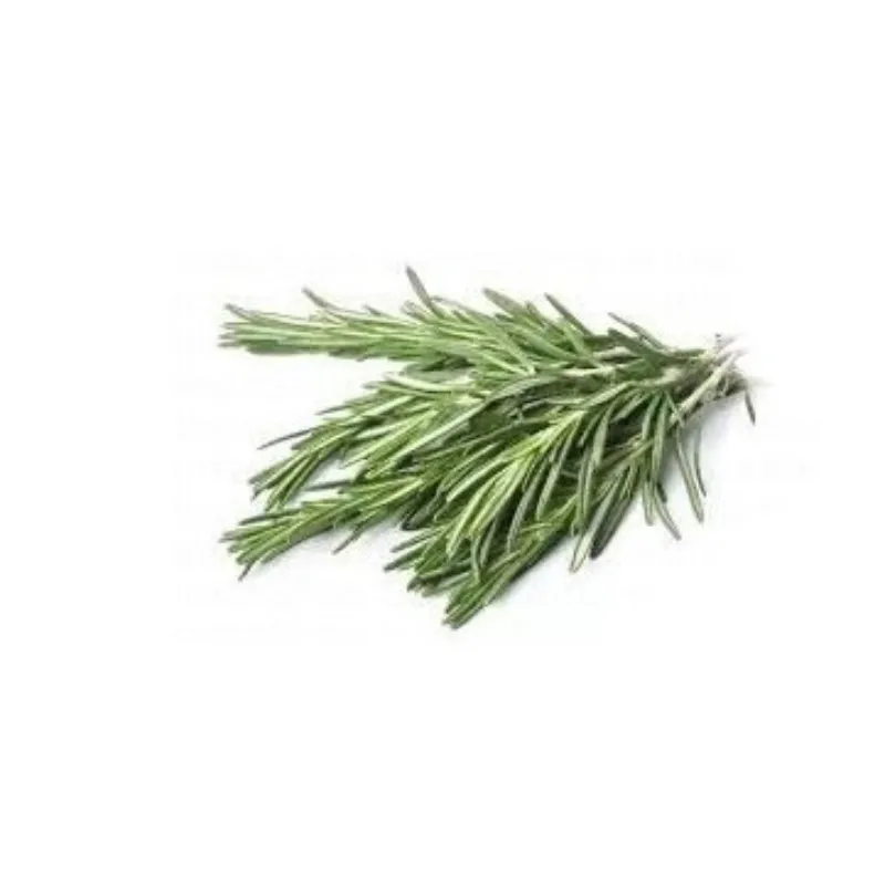 Rosemary