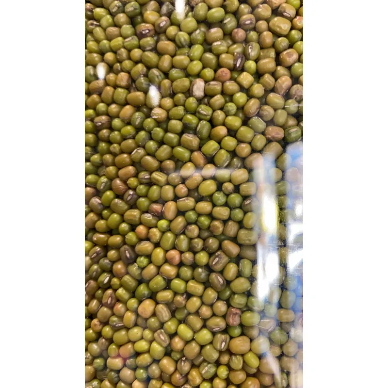 ماش أخضر صحيح NO: 3