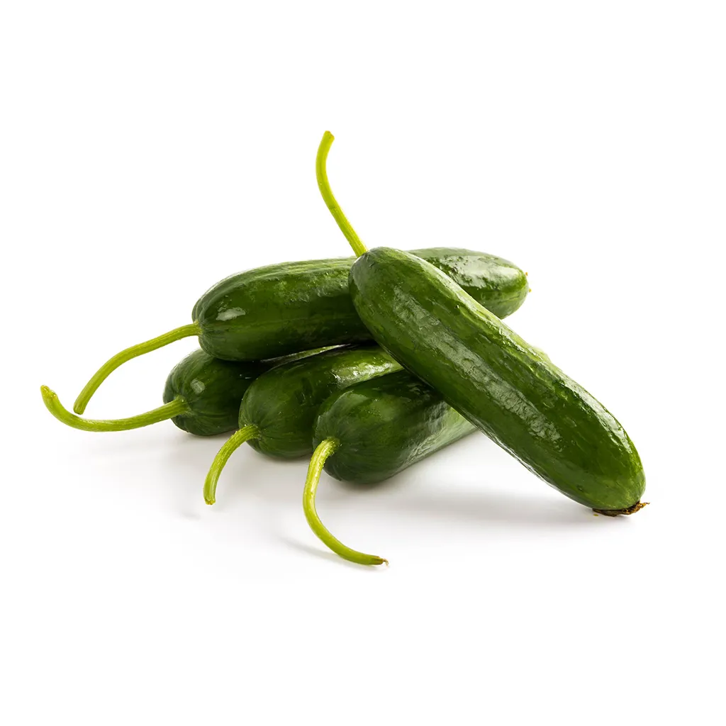 Cucumber