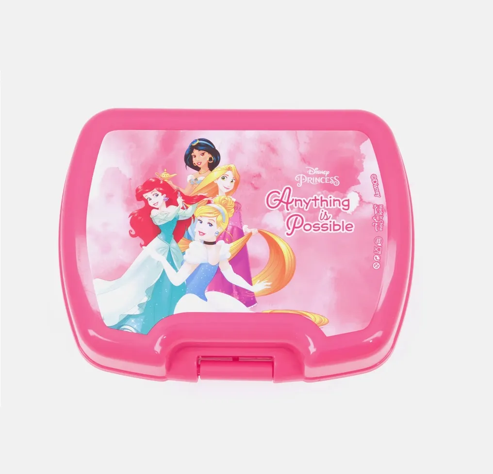 Princess Lunch Box - Anything Is Possible
