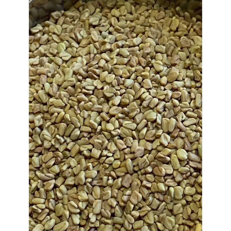 حلبه حب NO: 40