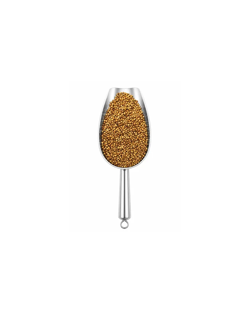Coriander NO: 49