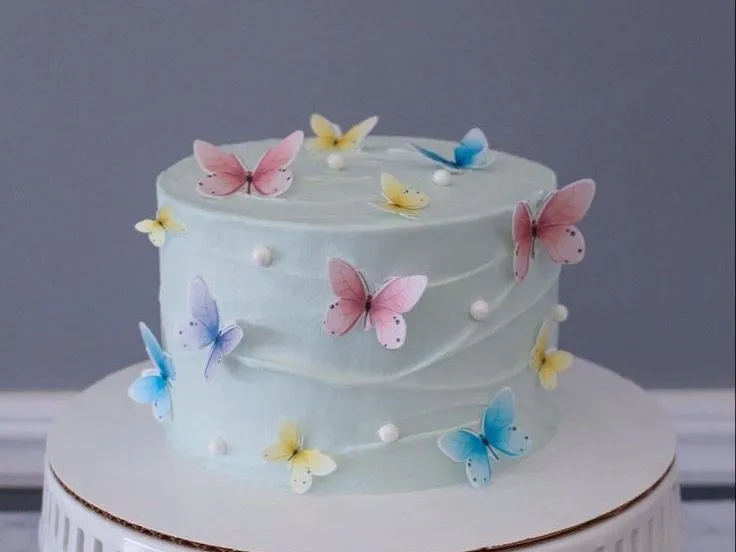Butterfly Cake 8