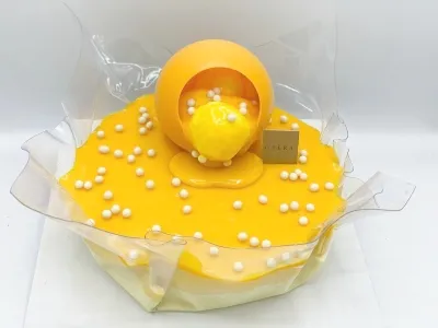 أويبرا باشن سوربيه