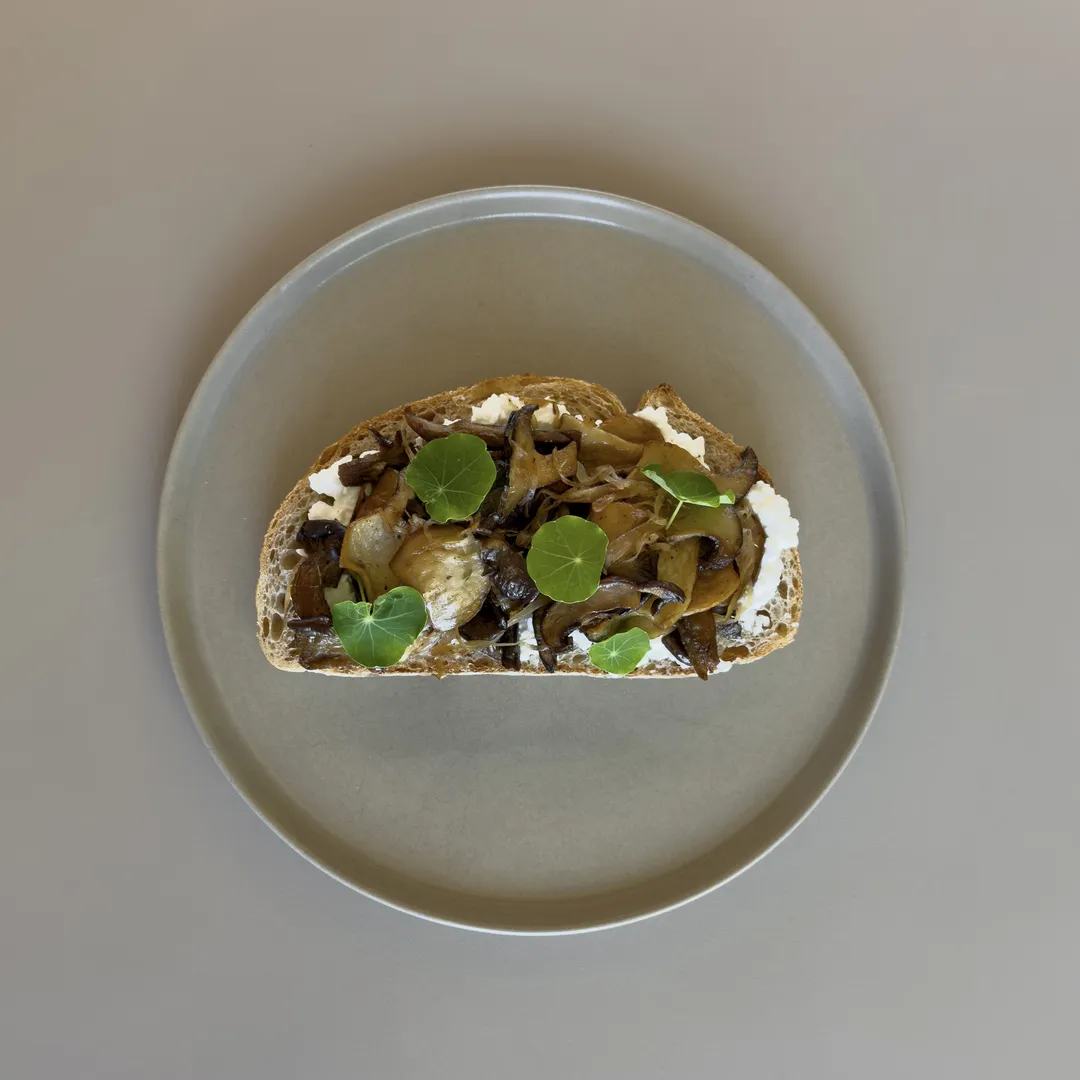 mushrooms and cottage cheese on sourdough