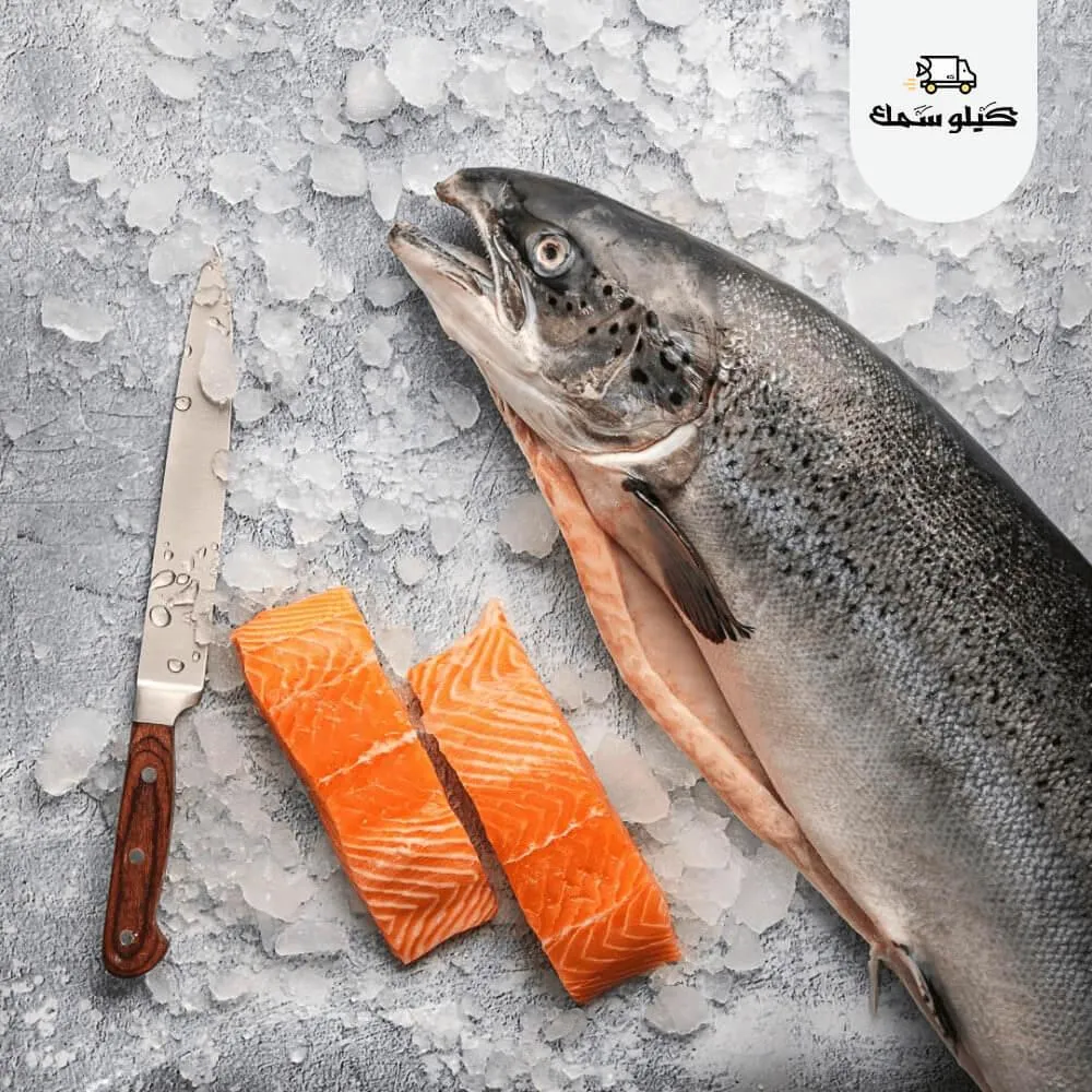 Kilo Salmon
