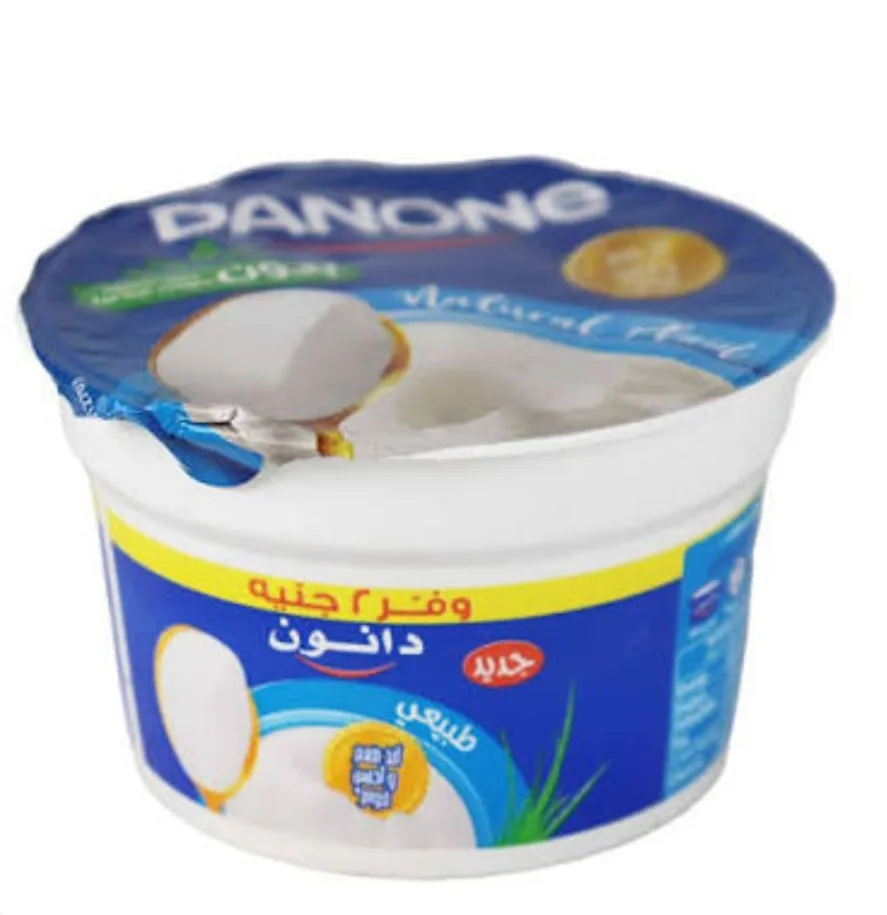Regular Yoghurt