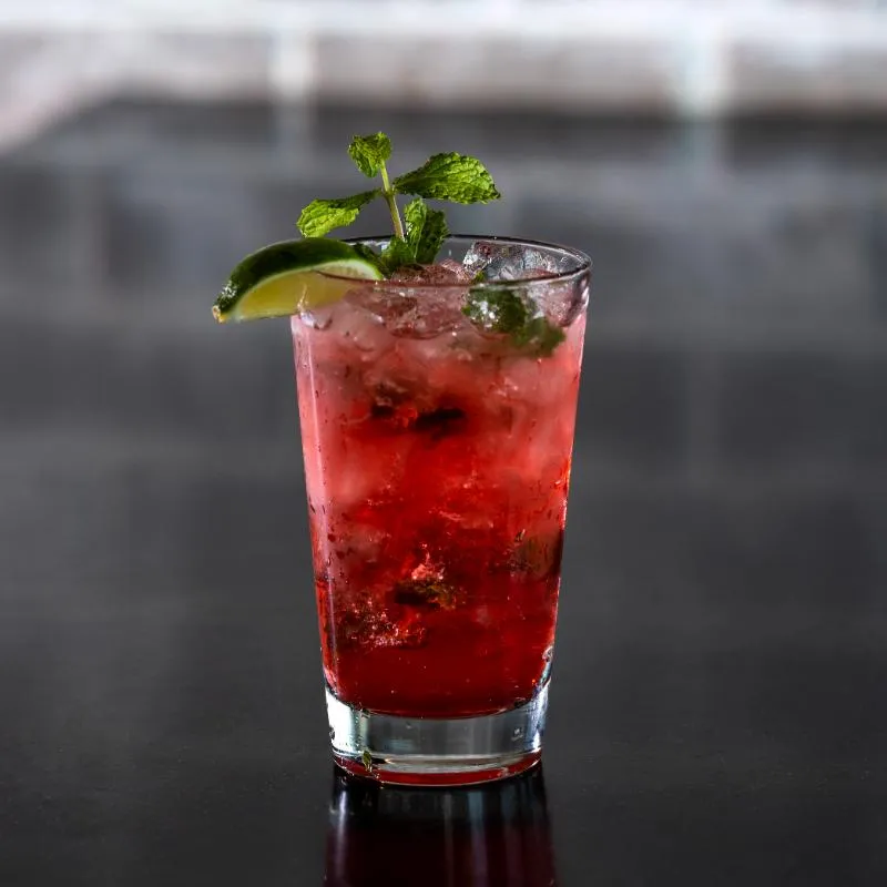 POMEGRANATE MOJITO