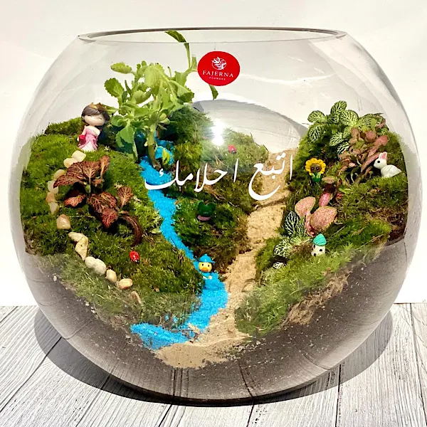 تيراريوم الغابة - اتبع احلامك