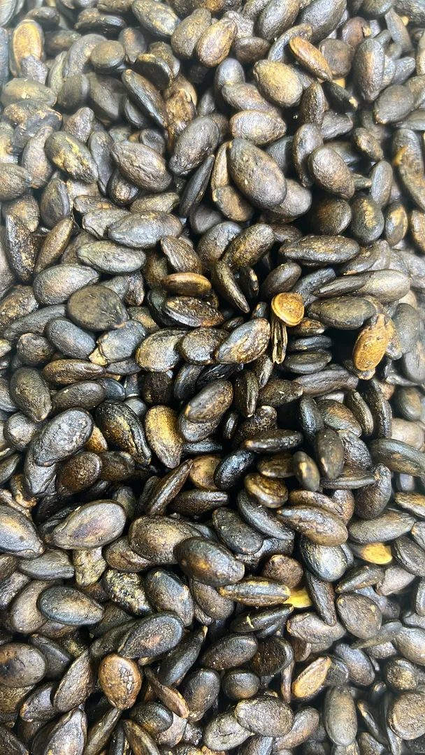 حب بطيخ اسود