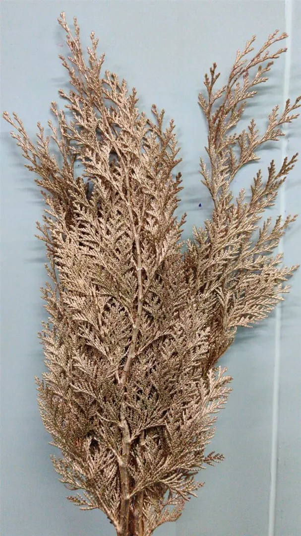 Blad Conifeer Paint Copper