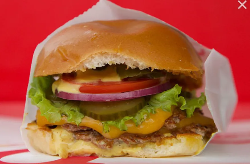 Beef Burger Sandwich