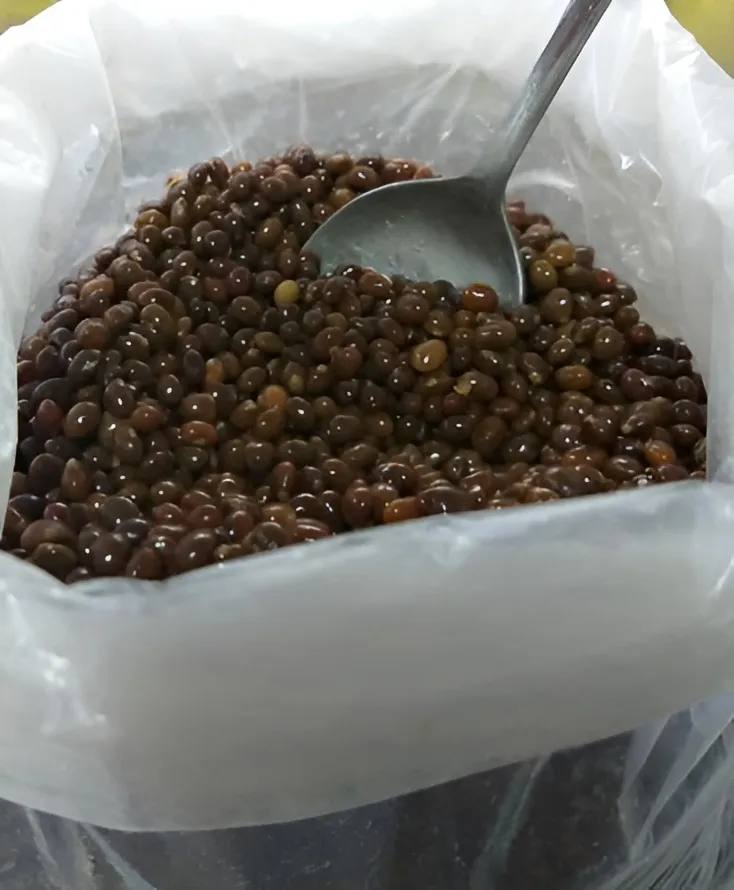 بانك بولغاري 250 جم