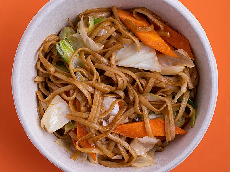 Vegetable Yaki Udon