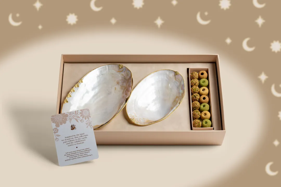 Shell Box
