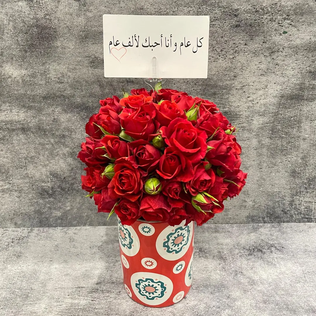 نوفا رد