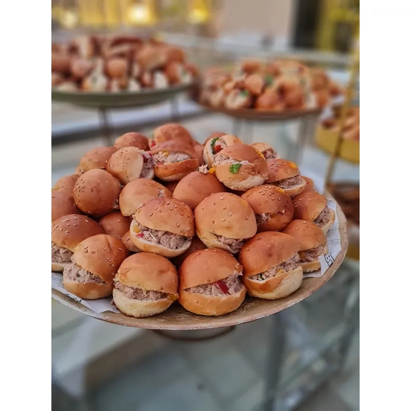 ميني تونة