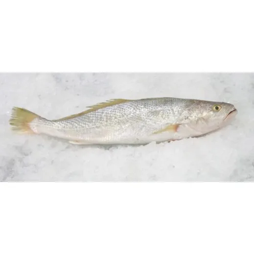 Nuwaibi Fish